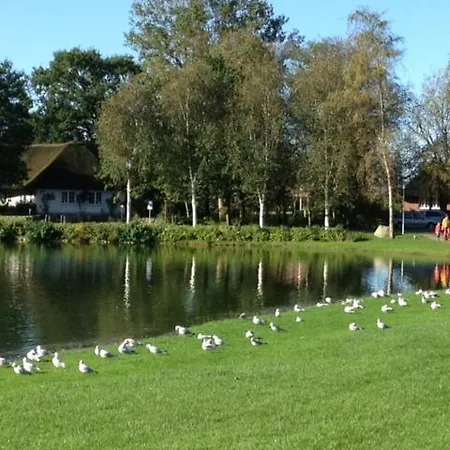 In - Martina Christiansen * Nieblum