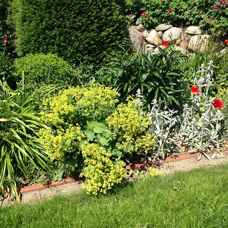 In - Martina Christiansen * Nieblum