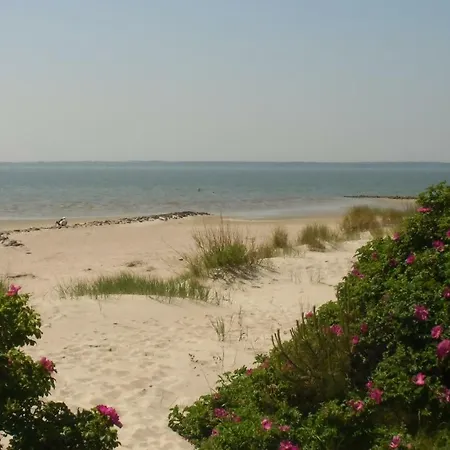 In - Martina Christiansen